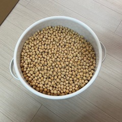大豆　大容量　まとめて受け取って下さる方限定の画像