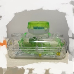 ルックルックフォーチュンミニ 三晃商会の画像