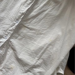 ブージュルード・シャツとニットセットの画像