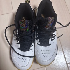 【渡辺勇太選手使用モデル】リーニン　バドミントンシューズの画像