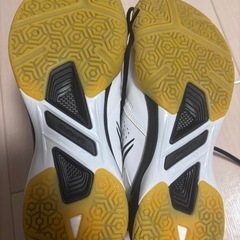 【渡辺勇太選手使用モデル】リーニン　バドミントンシューズの画像