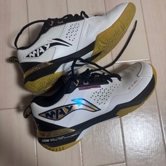 【渡辺勇太選手使用モデル】リーニン　バドミントンシューズの画像