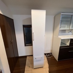 ディノス★キッチン分別タワーダストボックス 5分別　幅約36.5cm ペール白系の画像