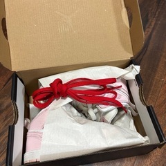 JORDAN 14cm(大きめ)ハイカットの画像