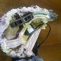 水槽用オブジェの画像