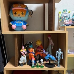 棚   決まりました！の画像