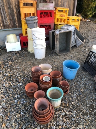 植木鉢 (断捨離ママ) 東近江の家庭用品《ガーデニング》の中古あげます