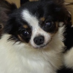 一旦締め切ります