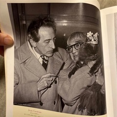 人と猫の愛ある暮らし キャッツ&ラ・ドルチェ・ヴィータ
の画像