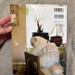 人と猫の愛ある暮らし キャッツ&ラ・ドルチェ・ヴィータ
の画像