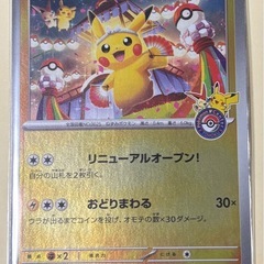 ピカチュウセットの画像