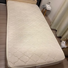 シングルベッド　ローベッド　+まっとマットレスの画像