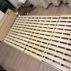 シングルベッド　ローベッド　+まっとマットレスの画像