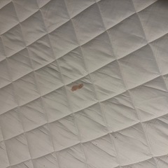 ニトリ　白　脚付きヘッドレスすのこベッドフレーム(SRN WH) 三つ折りボリュームマットレス　防ダニふとん　吸湿シートの画像