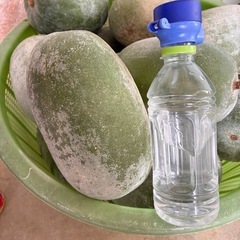 冬瓜　シブイの画像