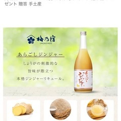 梅乃宿 あらごしジンジャー 1,800ml 果実酒 辛口 大人のジンジャーエール リキュール 日本酒 デザート酒 の画像