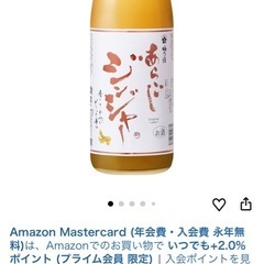 梅乃宿 あらごしジンジャー 1,800ml 果実酒 辛口 大人のジンジャーエール リキュール 日本酒 デザート酒 の画像