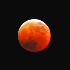 旅友募集です👍人生旅の途上