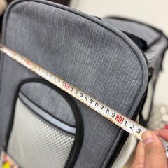 DoDopet キャリー　ペット　犬　猫の画像