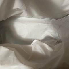 コストコ クーラーバッグ 保冷バッグ 55Lの画像