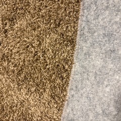 ラグ200×240（埃が取れやすい・洗える ）の画像