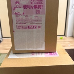 ポケモンカ-ドゲーム➖メガドリ-ムの画像