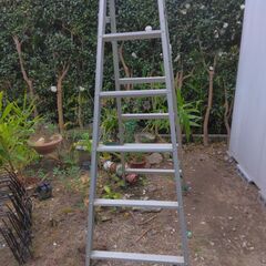 脚立　6段　MBX・180　中古の画像