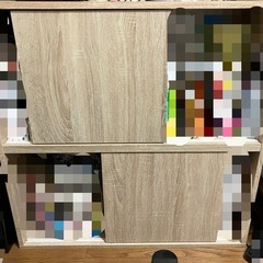 LOWYA ロウヤ本棚 収納棚 可動式扉付きの画像