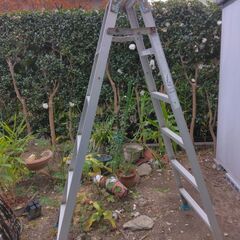 脚立　6段　MBX・180　中古の画像