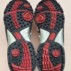 Lynx ゴルフシューズ の画像