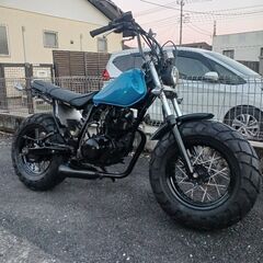 TW 225 フロントファットの画像