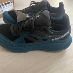 サロモン　25cm
の画像