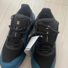 サロモン　25cm
の画像
