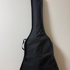 Ariaアコースティックギターカバー付きの画像