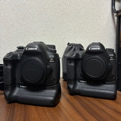 Canon 5d mark ivセット売りの画像