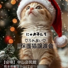 🧡ふれあい💛🐱保護猫譲渡会🩷🐱🐈🌟🏡中山公民館