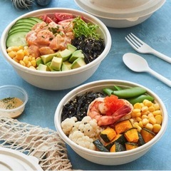 新品未使用　バガス フードパック　蓋なし　
1000ml 300個の画像