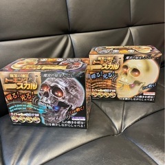 トーキングスカルセットの画像