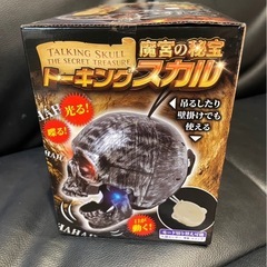 トーキングスカルセットの画像