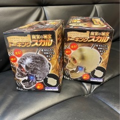 トーキングスカルセットの画像