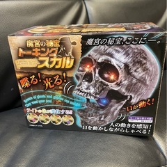 トーキングスカルセットの画像