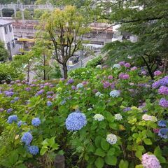 ☆ベース弾ける方募集します☆