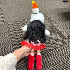 新品 クリスマスギフト・クリスマス服・人形セット 着せ替えドール　30cm 関節可動ドール   SD-2の画像