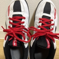 バドミントンセットの画像