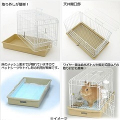 サンコー　ライトキャリー　三晃　チンチラ　小動物の画像