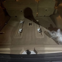 ナビゲーター‼️検査ロング‼️の画像