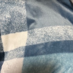 美品シングルサイズ薄手ブランケット2枚の画像