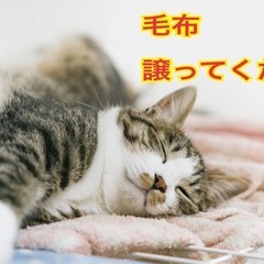 毛布を買い取らせてください