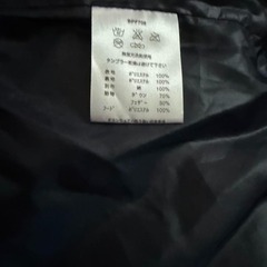 ポートブリッジ Port Bridge メンズダウンジャケット フード Lサイズの画像