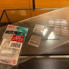 金魚 めだか 熱帯魚 水槽セットの画像